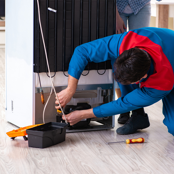 what are the common refrigerator repair services in Chester